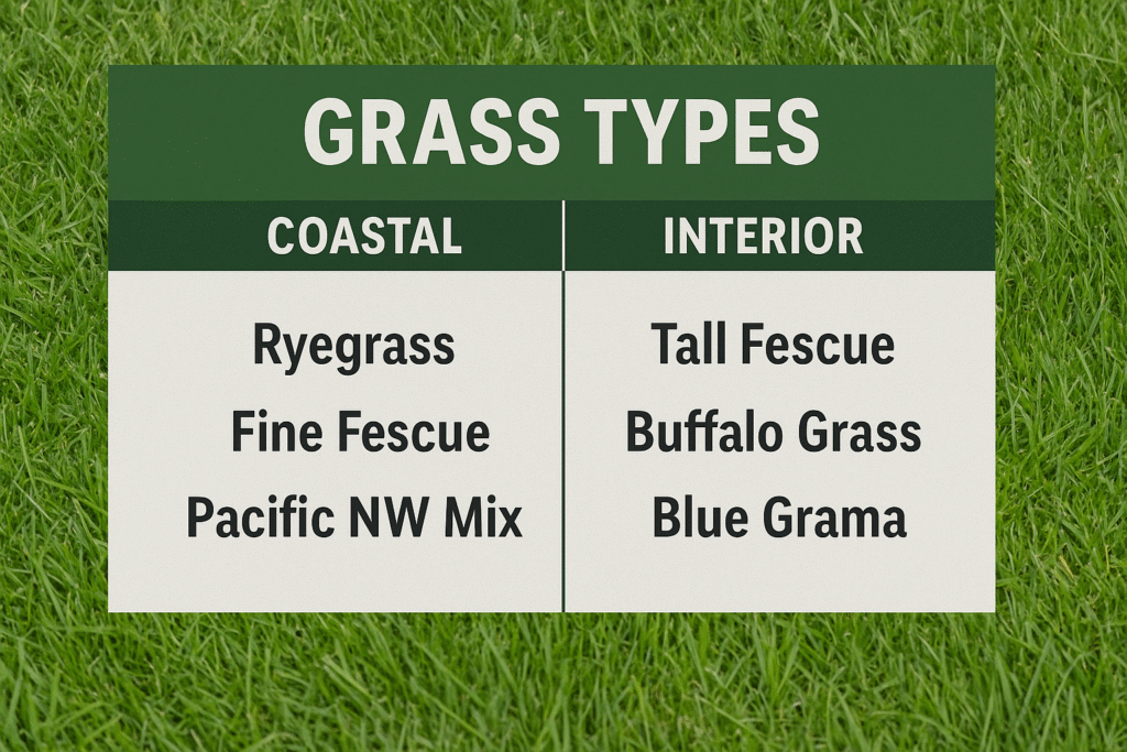 πΏ The Ultimate Guide to BC Lawn Care: Coastal vs Interior Climate Differences That Every Homeowner Needs to Know 3 Comparison chart of ideal grass types for Coastal vs Interior BC lawn care.