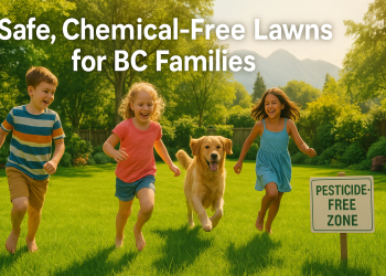Children and a dog playing on a lush pesticide-free lawn in British Columbia, representing a healthy and safe environment for families.