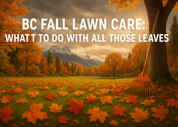 A scenic BC yard in fall with fallen leaves covering the grass, a rake nearby, and distant mountain views under moody autumn skies.