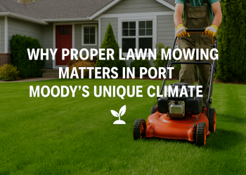 Lawn Mowing Port Moody BC
