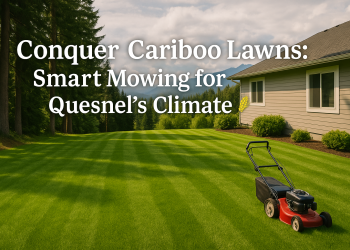 Freshly mowed lawn in Quesnel, BC, with healthy green grass, bordered by tall evergreens and distant mountain views, highlighting proper lawn care in a variable climate.